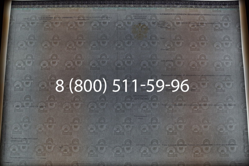 Заказать Диплом бакалавра (Киржач) 2014-2026 года в Москве