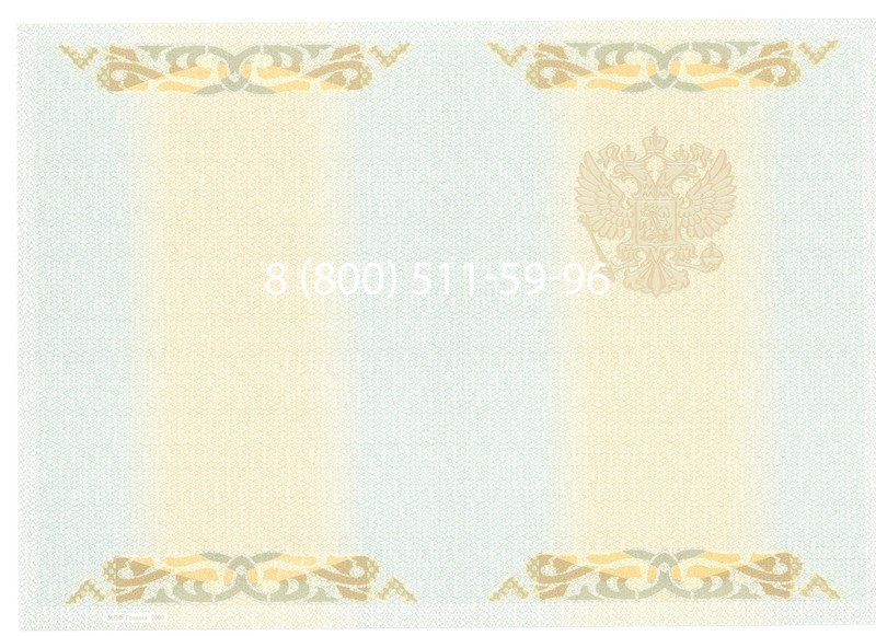 Купить Диплом бакалавра 2003-2009 годов в Москве
