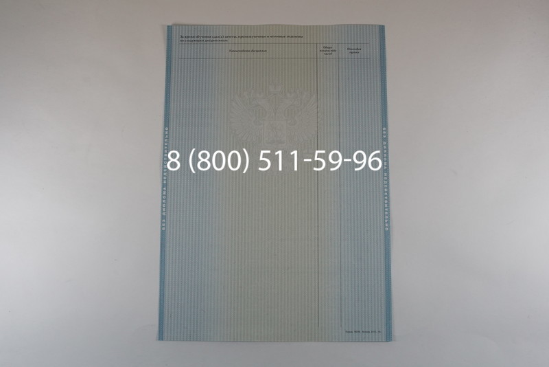 Диплом бакалавра 2012-2013 годов в Москве