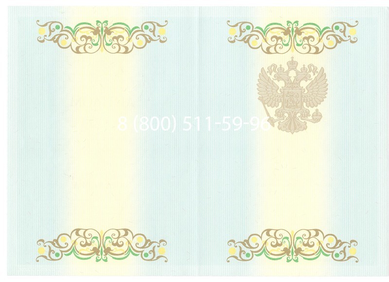 Купить Диплом бакалавра 2012-2013 годов в Москве