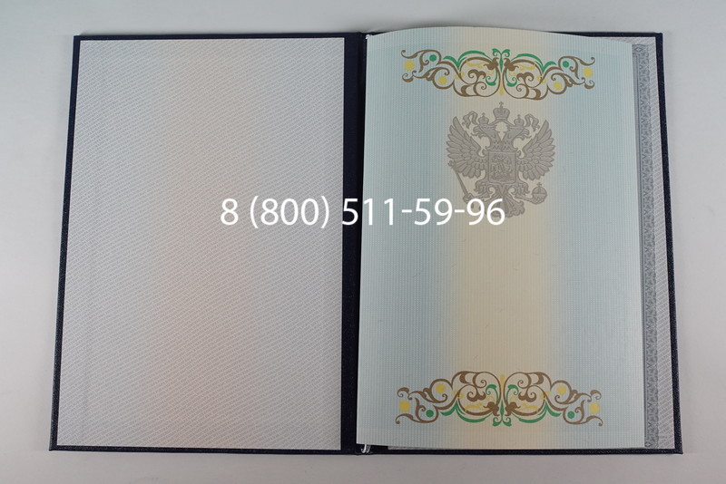 Диплом бакалавра 2012-2013 годов в Москве