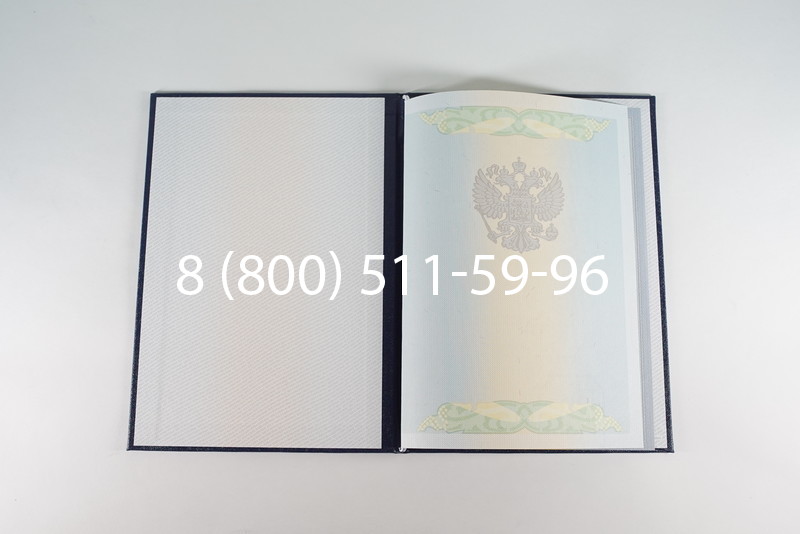 Диплом бакалавра 2010-2011 годов в Москве