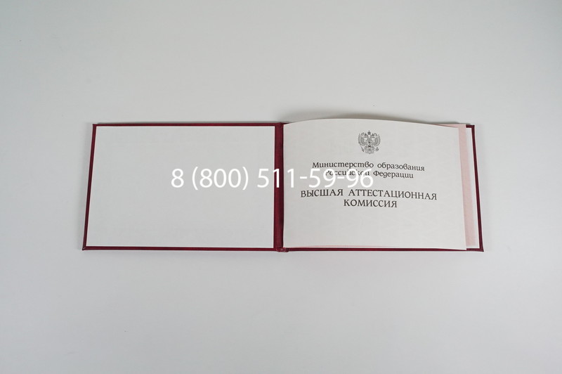 Диплом доктора наук 1995-2006 года в Москве