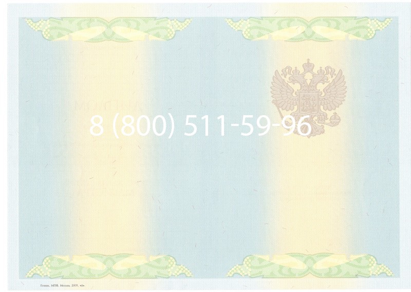 Купить Диплом магистра 2010-2011 годов в Москве