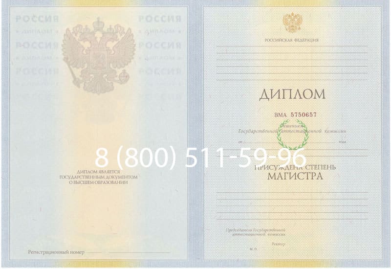 Купить Диплом магистра 2010-2011 годов в Москве