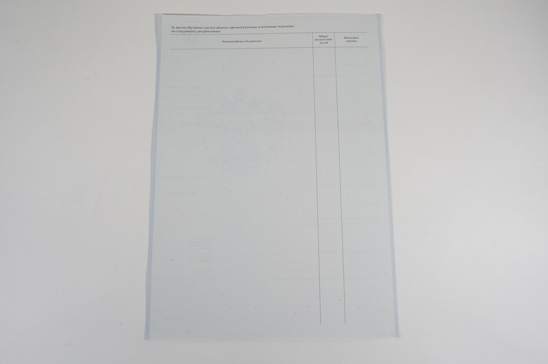 Диплом о начальном образовании  2007-2009 годов в Москве