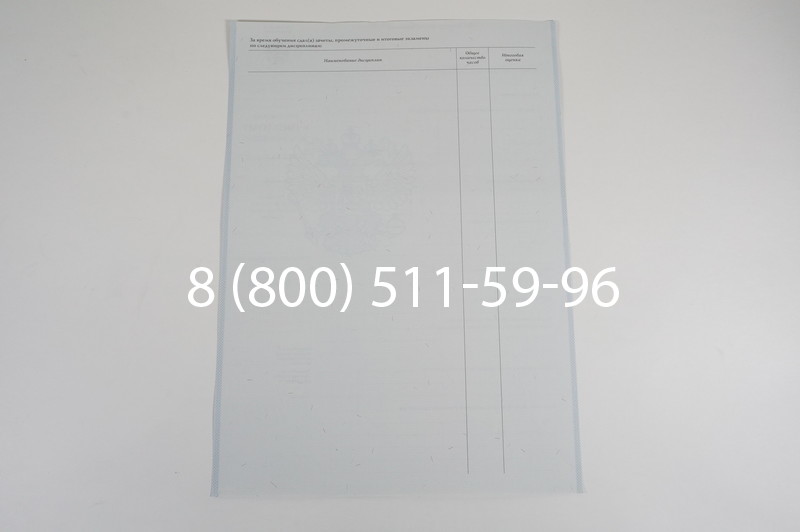 Диплом ПТУ 2007-2010 годов в Москве