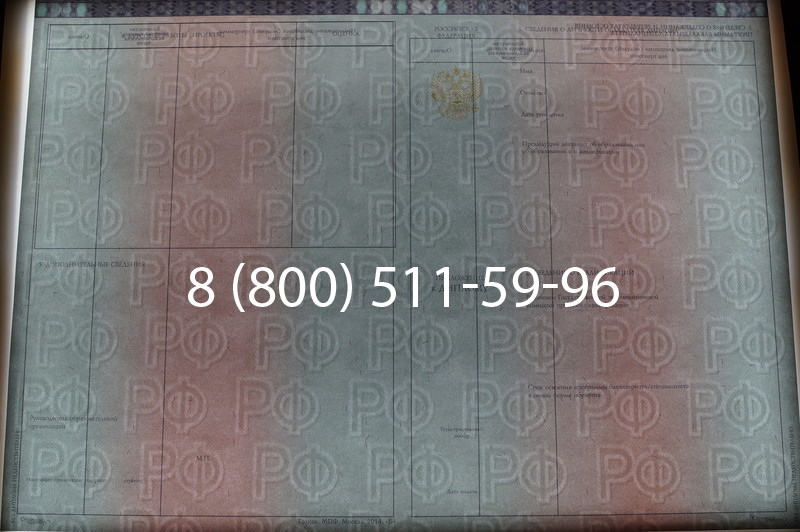 Заказать Диплом специалиста 2014-2026 года в Москве