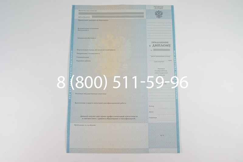 Диплом специалиста 2010-2011 годов в Москве