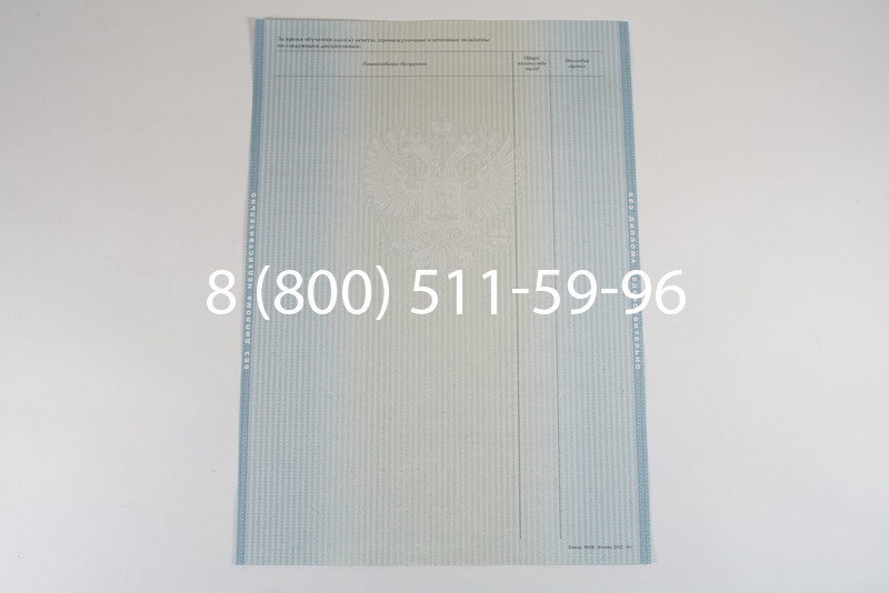 Диплом специалиста 2012-2013 годов в Москве